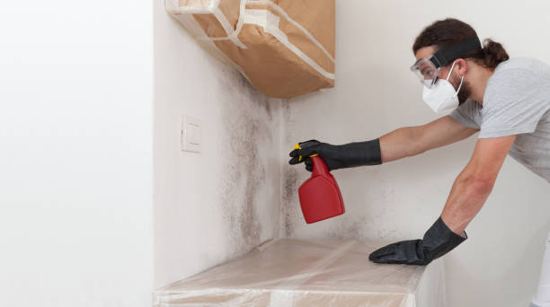 Professional Crawl Space Mold Remediation technician working in Elgin, MN